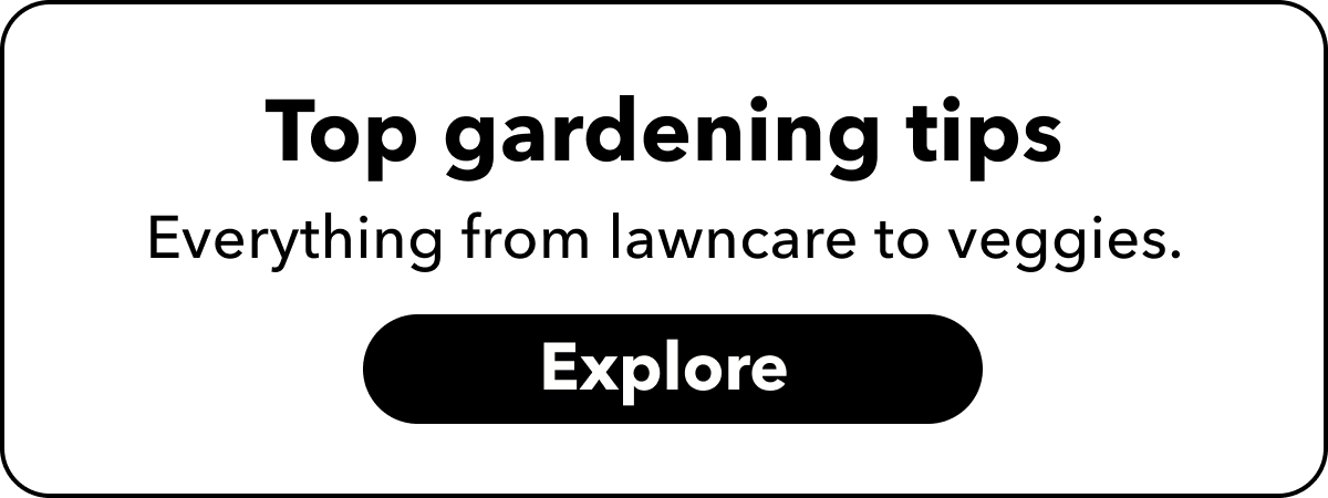 Top applets for gardening and lawn care